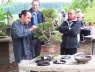 Frhlingsfest 2008
