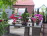 Frhlingsfest 2008