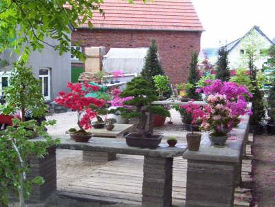 Frhlingsfest 2008