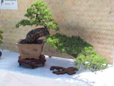 db_100_09301