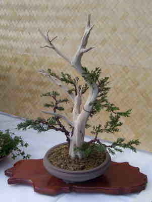 db_100_09661