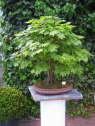 db_100_09671