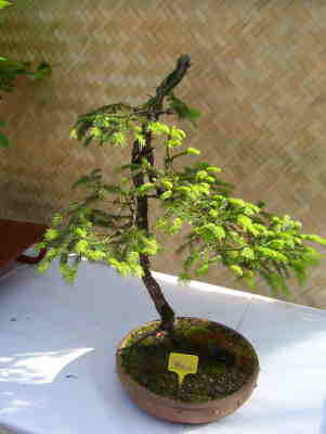 db_100_09891